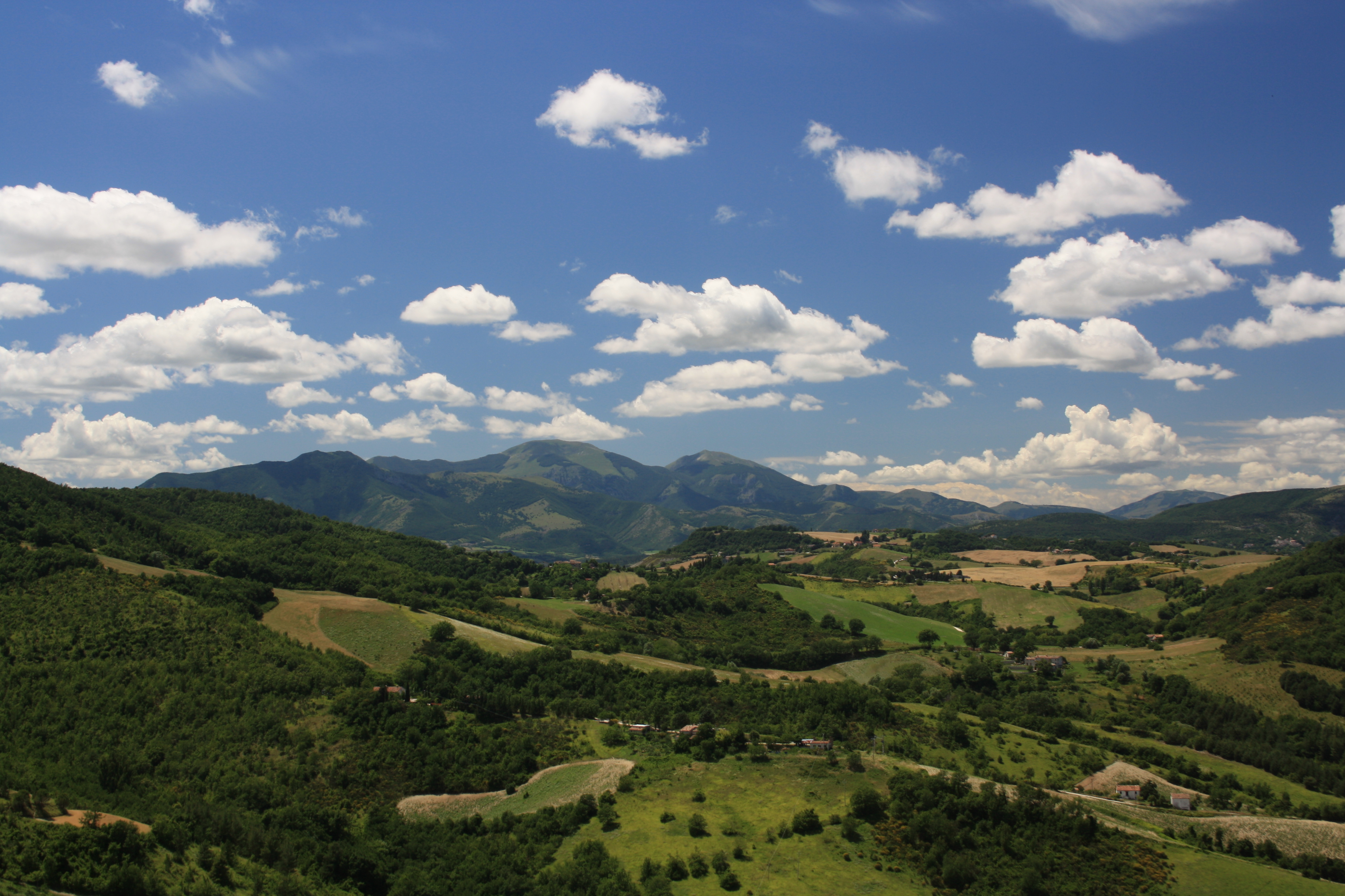 Panorama Unico